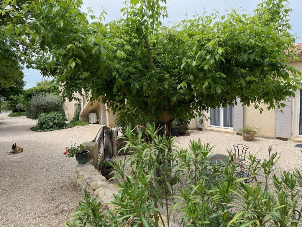 卡德内Bastide Provencale别墅 外观 照片
